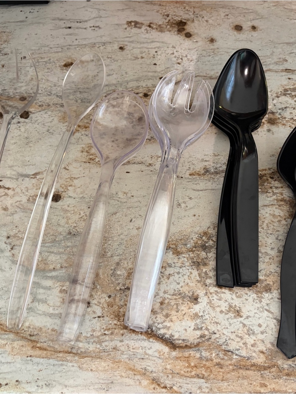 Clear and Black Disposable Serving Spoons - Home Dining